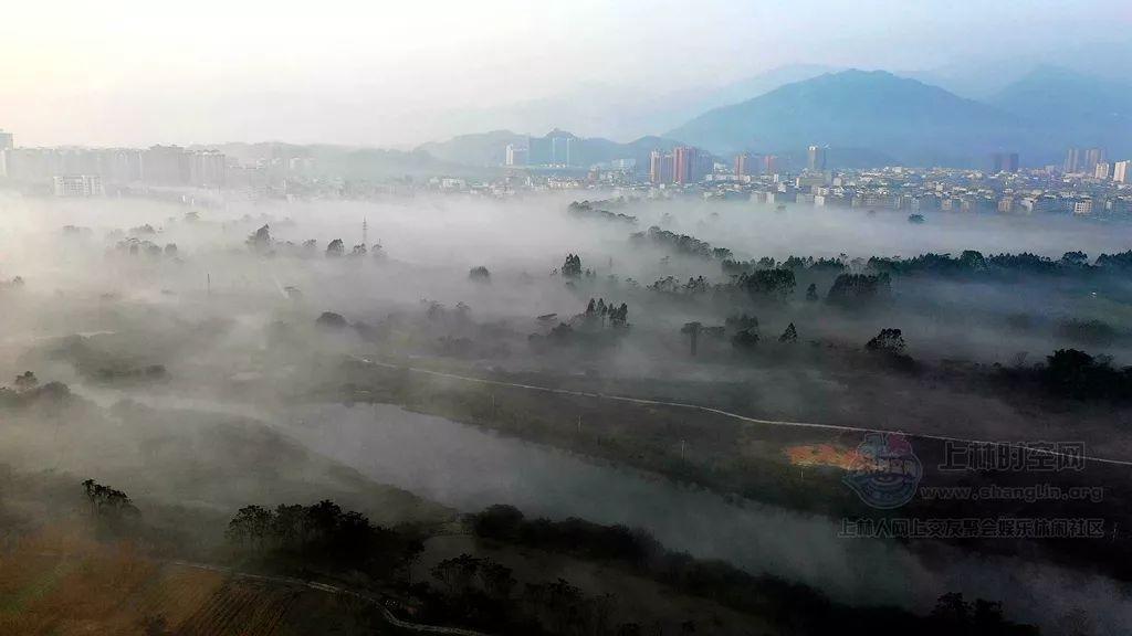 红莲之王