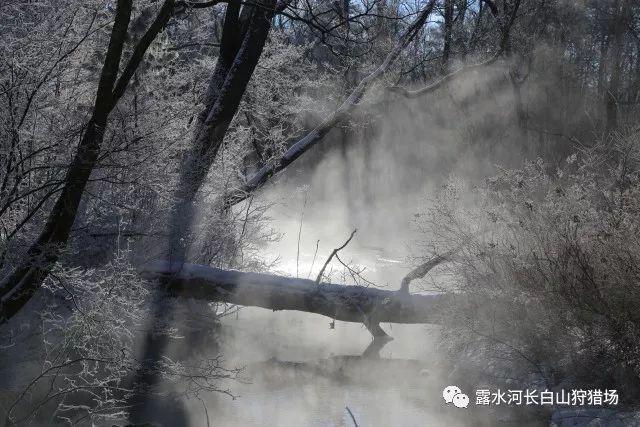 障碍冲刺挑战赛无敌版