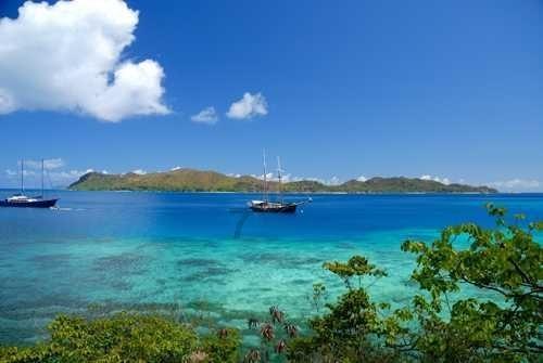 全民烧脑3去广告版